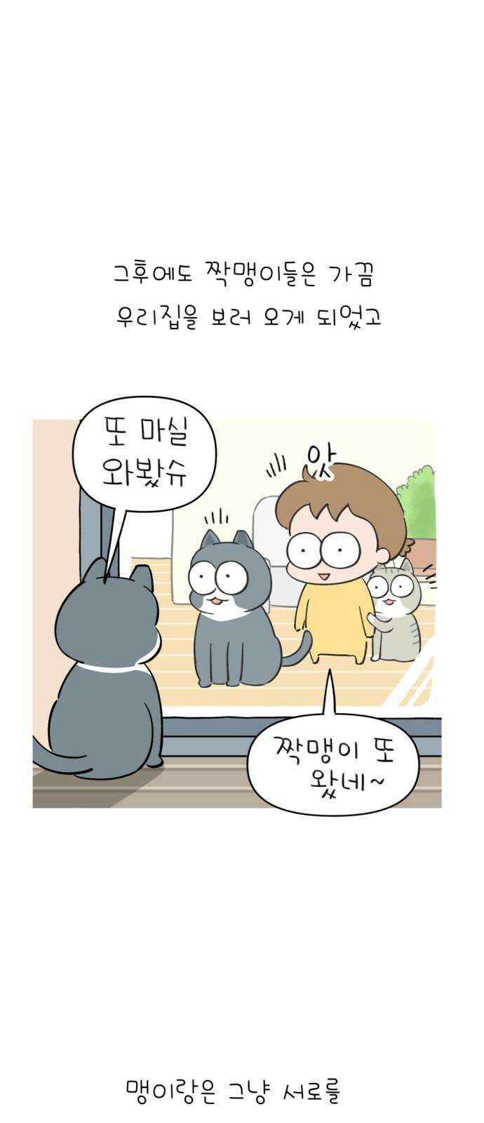 낢이 사는 이야기 - 계속되는 미미한 인생 20화 맹이가 집 밖에 나간 줄 알았다 13