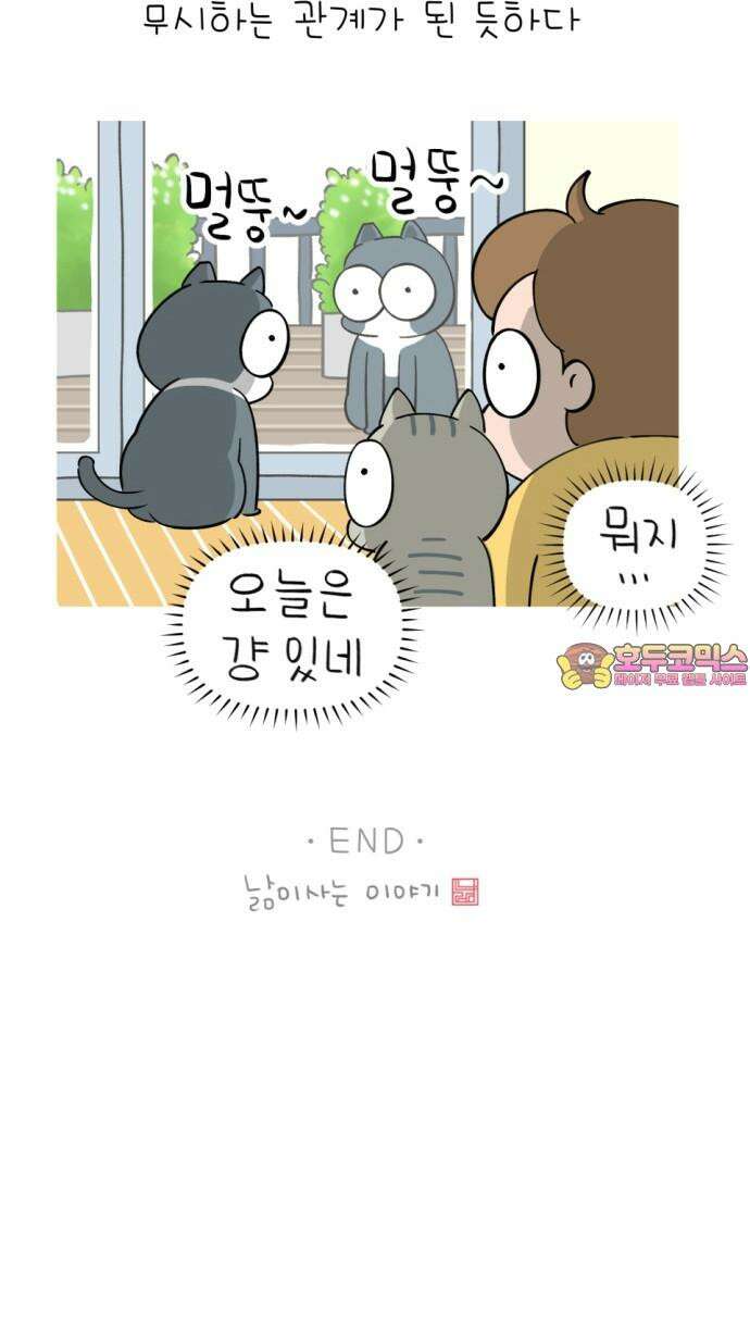낢이 사는 이야기 - 계속되는 미미한 인생 20화 맹이가 집 밖에 나간 줄 알았다 14