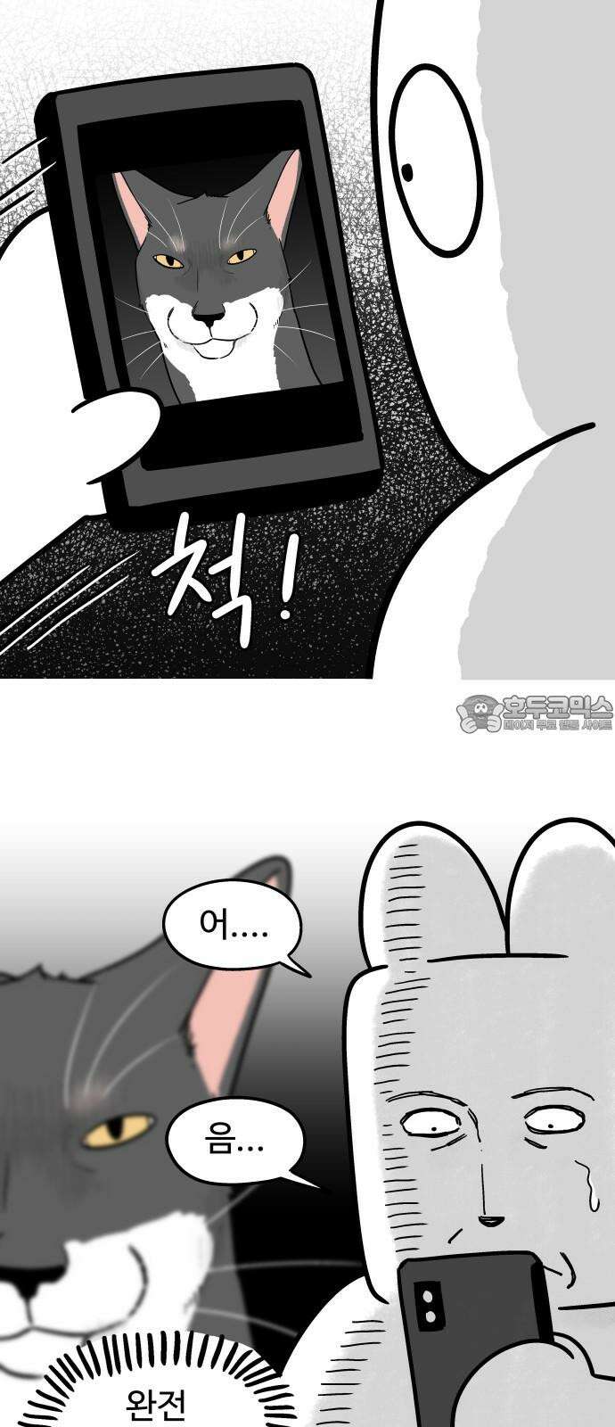 노곤하개 쇼츠 사진과 실물 3