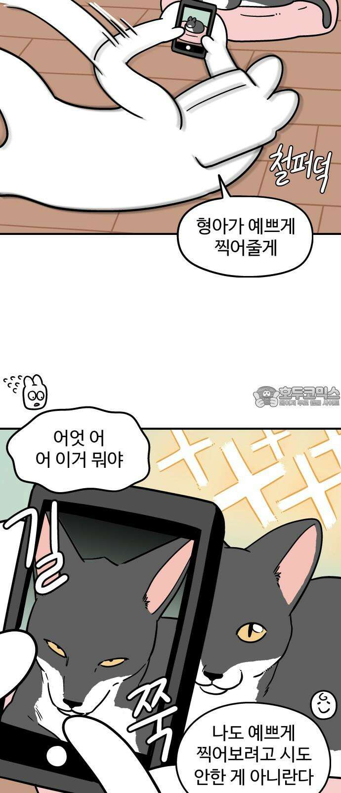 노곤하개 쇼츠 사진과 실물 6