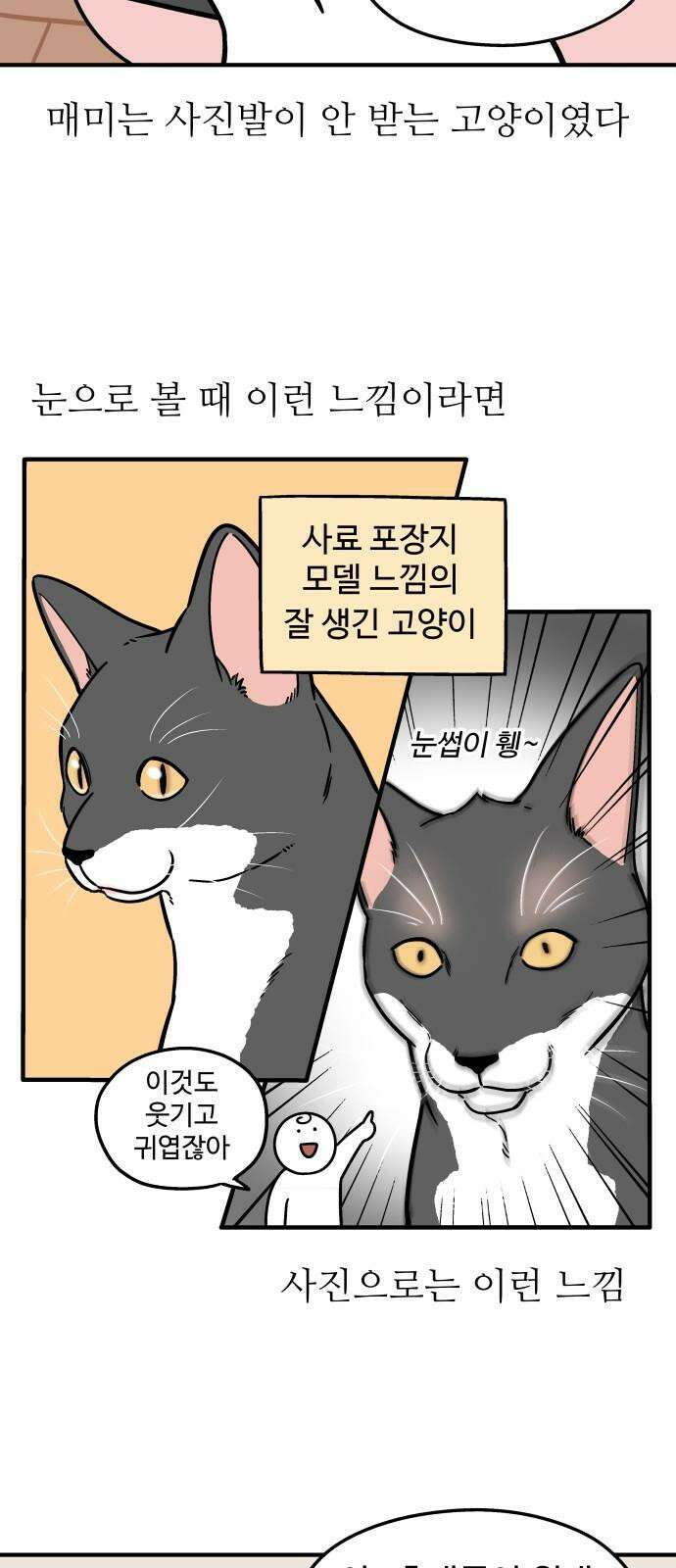 노곤하개 쇼츠 사진과 실물 7