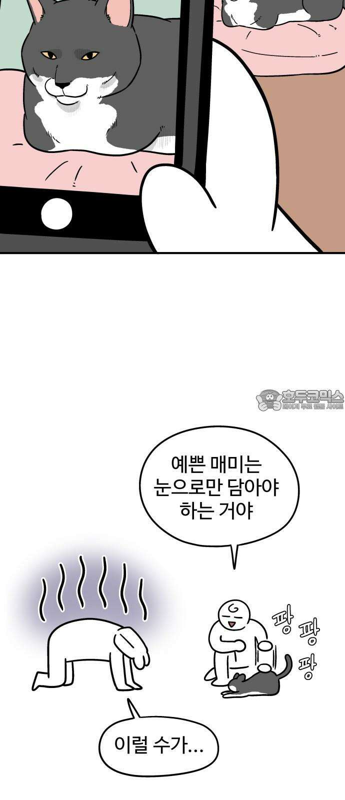 노곤하개 쇼츠 사진과 실물 9