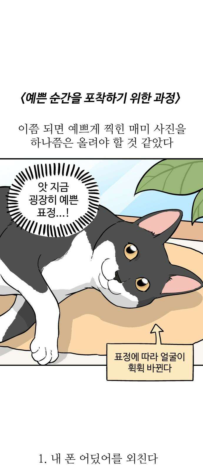 노곤하개 쇼츠 사진과 실물 10