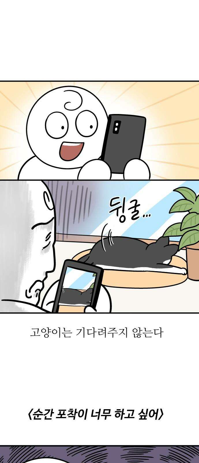 노곤하개 쇼츠 사진과 실물 13