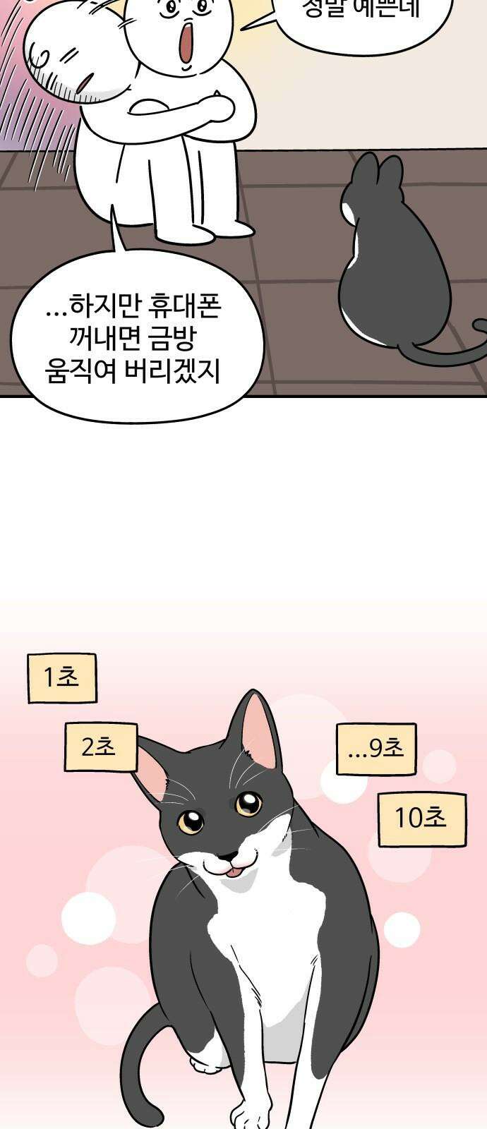 노곤하개 쇼츠 사진과 실물 17