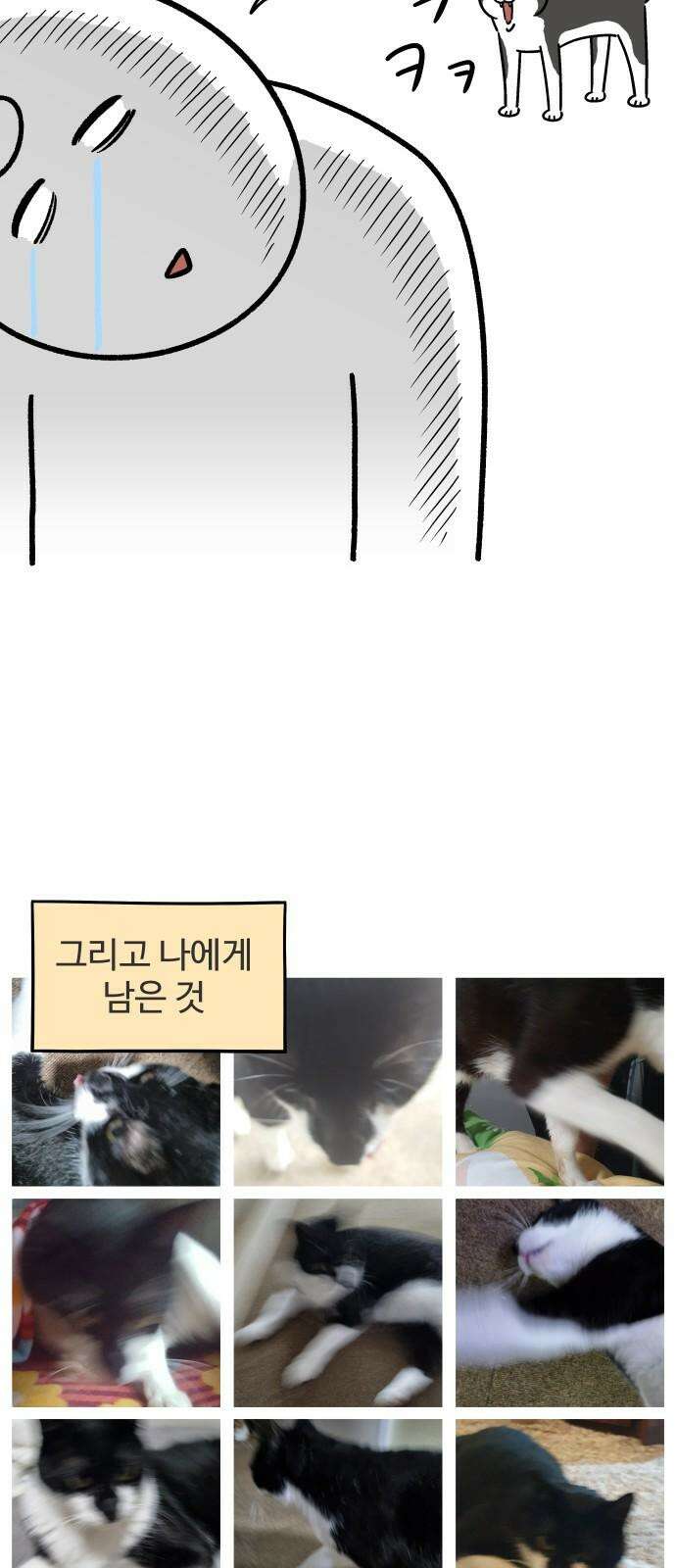 노곤하개 쇼츠 사진과 실물 20