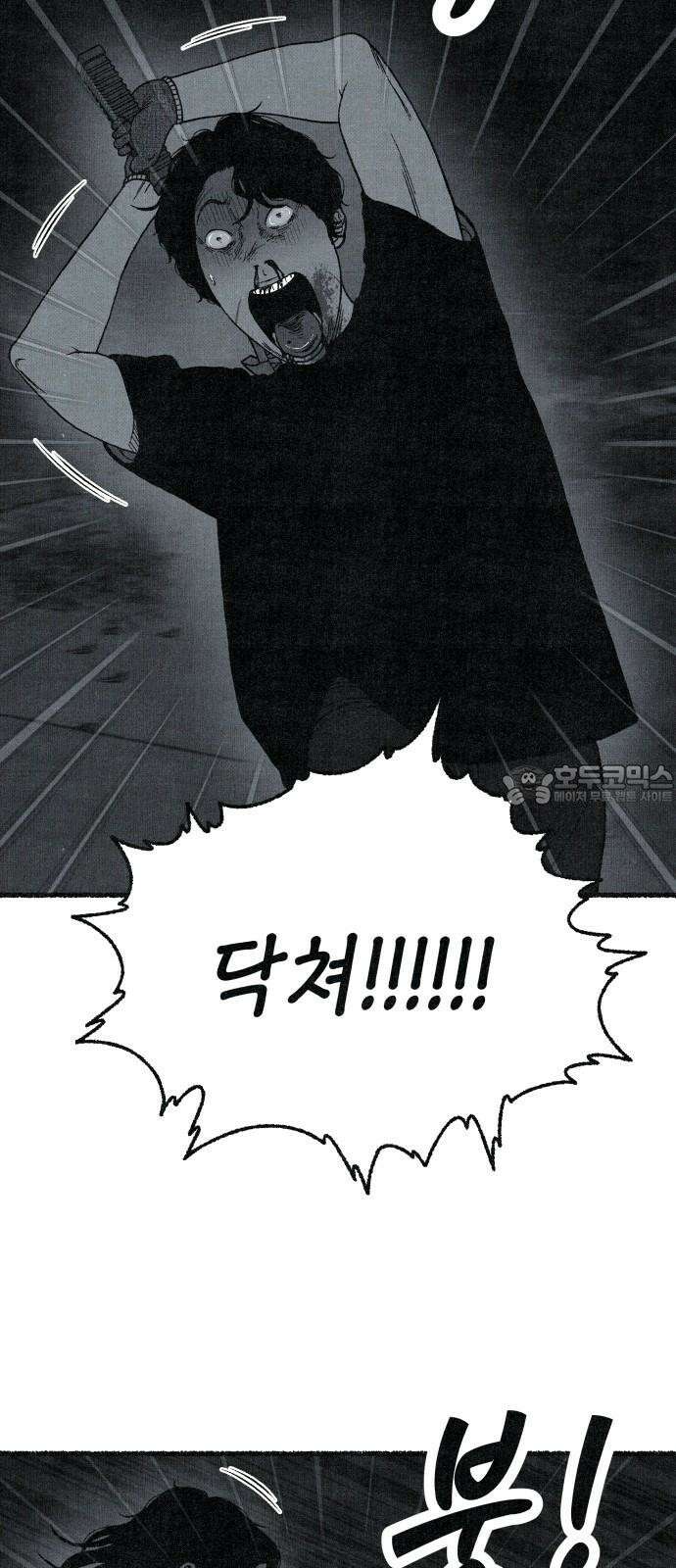 벌집 55화 21