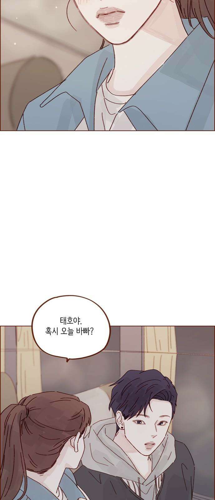 홍시는 날 좋아해! 298화 : 홍시호 아니에요 23