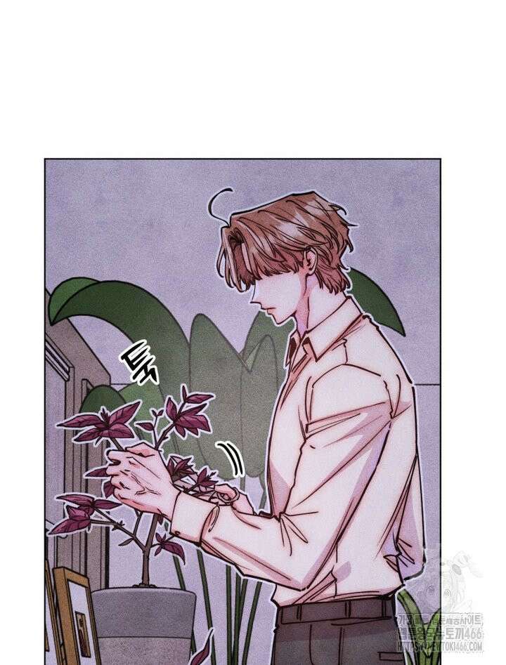 연하는 욕구불만 61화 6