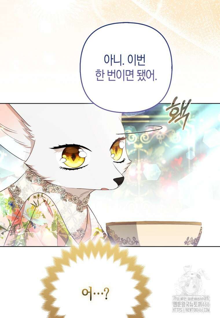 대공가의 여우 황녀님 61화 45