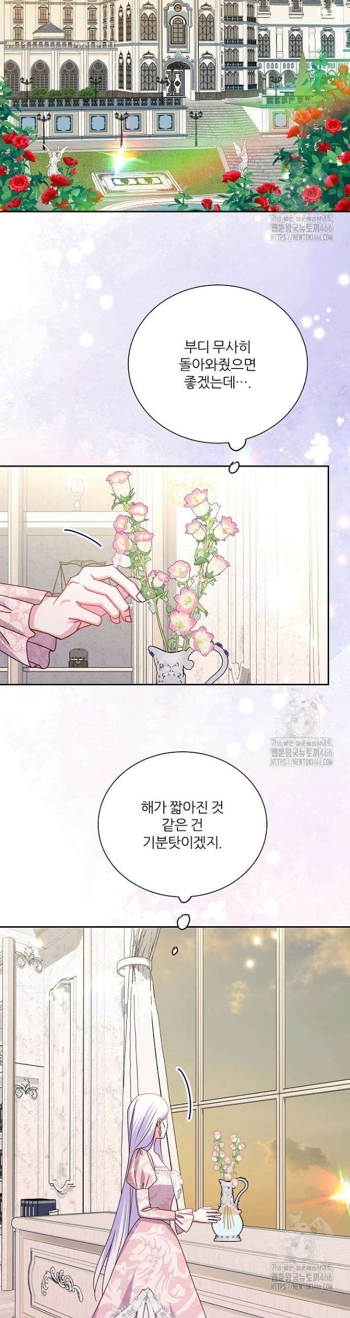 공작님의 모든 것 52화 4