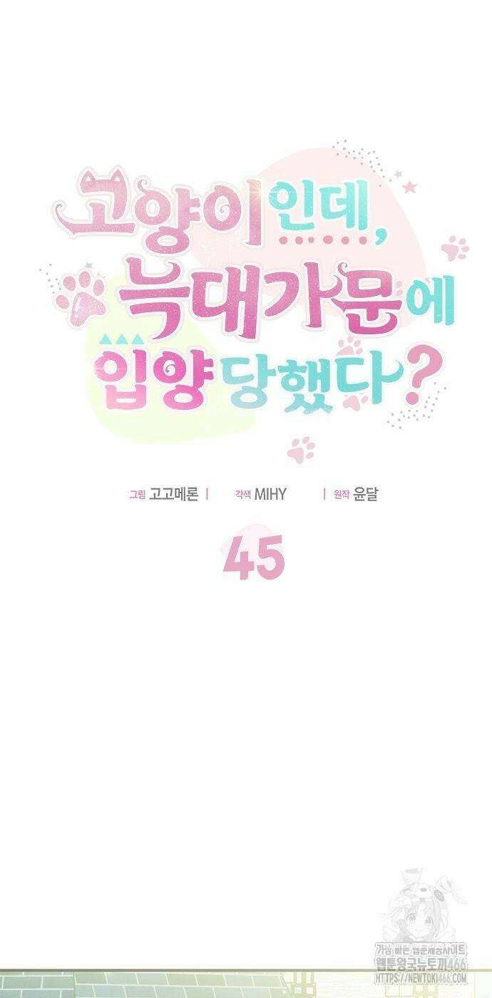 고양이인데, 늑대 가문에 입양당했다? 45화 10