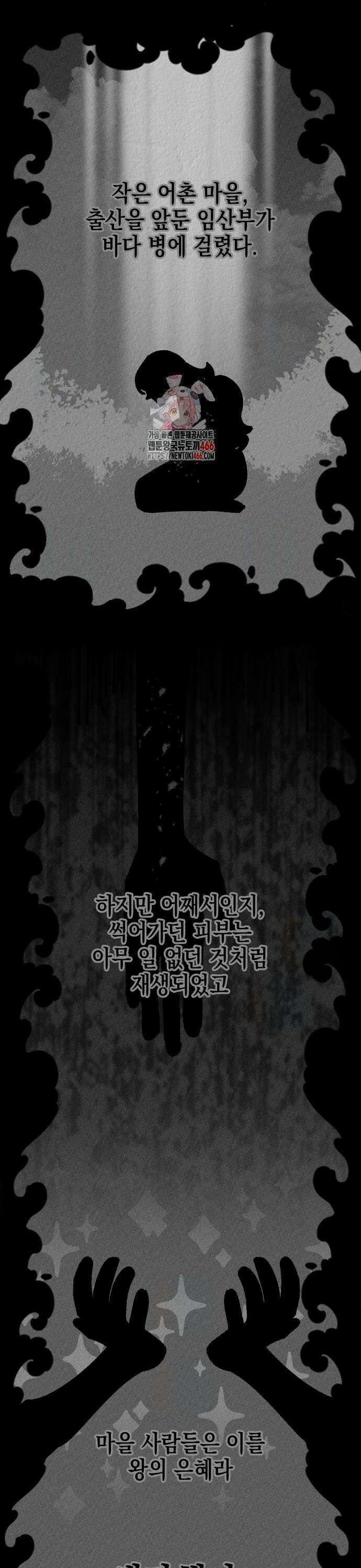 라서드 137화 나르와 네펜 1