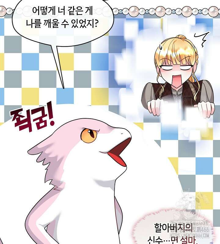 프린세스 플레이어 71화 13