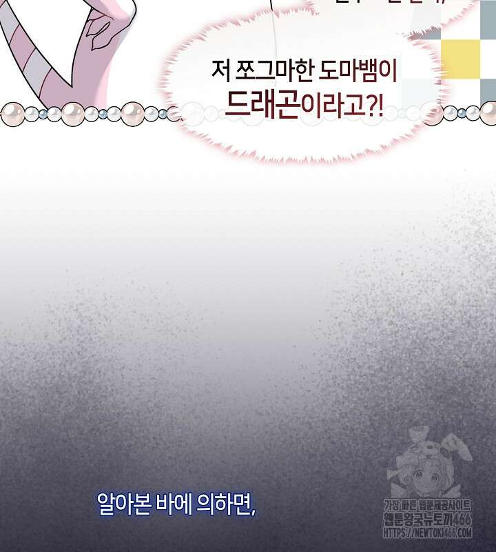 프린세스 플레이어 71화 14
