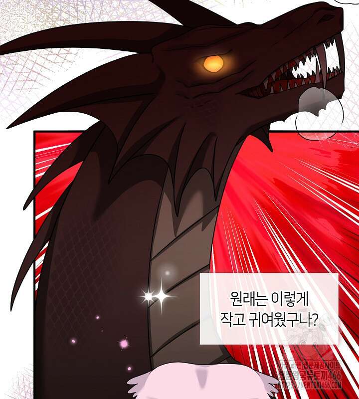 프린세스 플레이어 71화 20