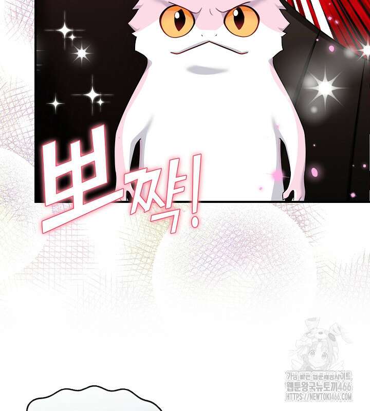 프린세스 플레이어 71화 21