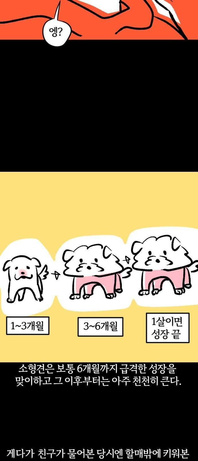 개집사 51화: 애완…하이에나? 4