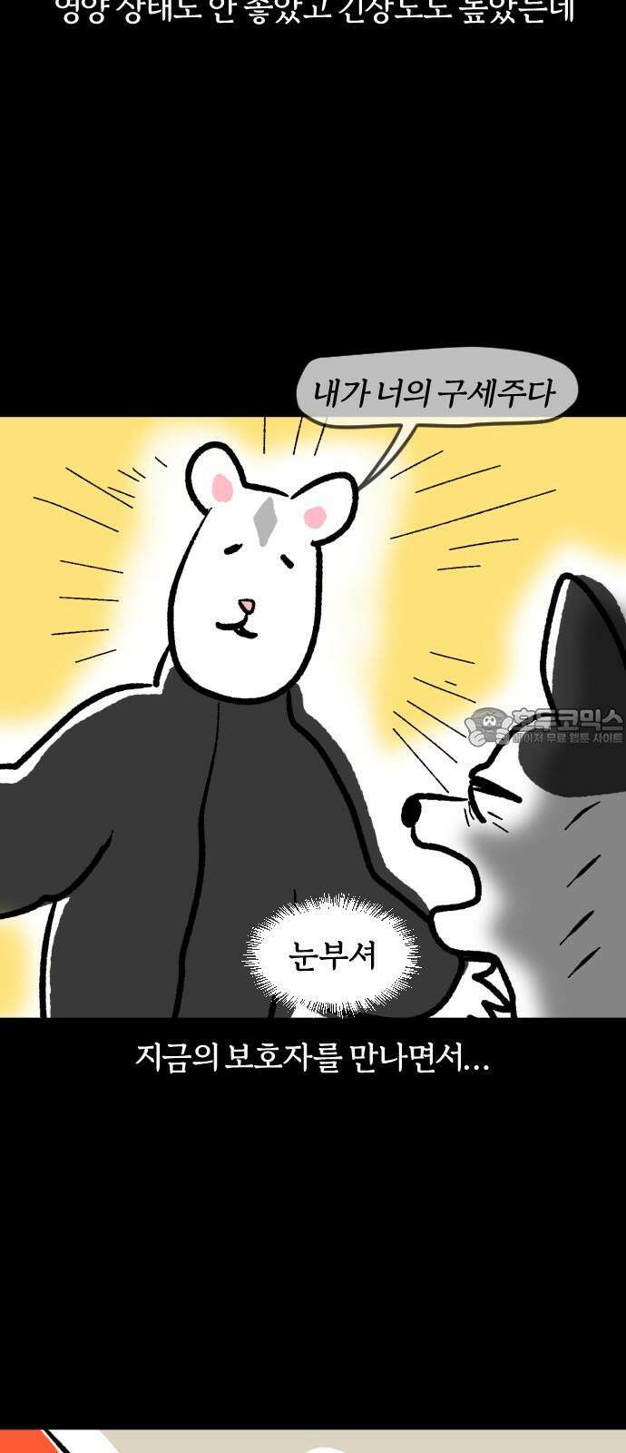 개집사 51화: 애완…하이에나? 9