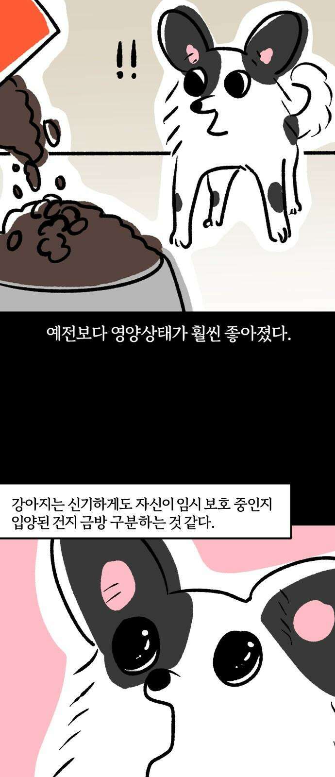 개집사 51화: 애완…하이에나? 10