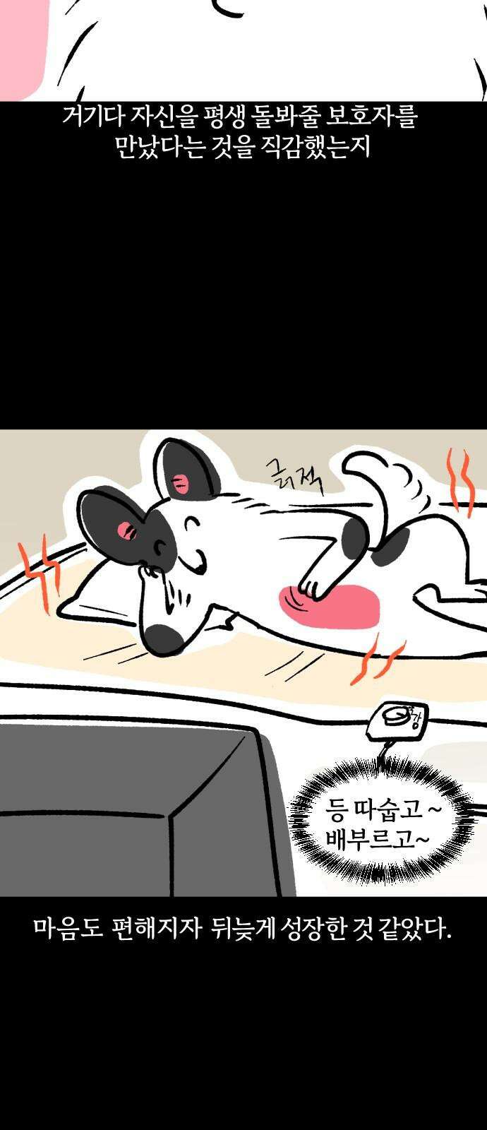 개집사 51화: 애완…하이에나? 11