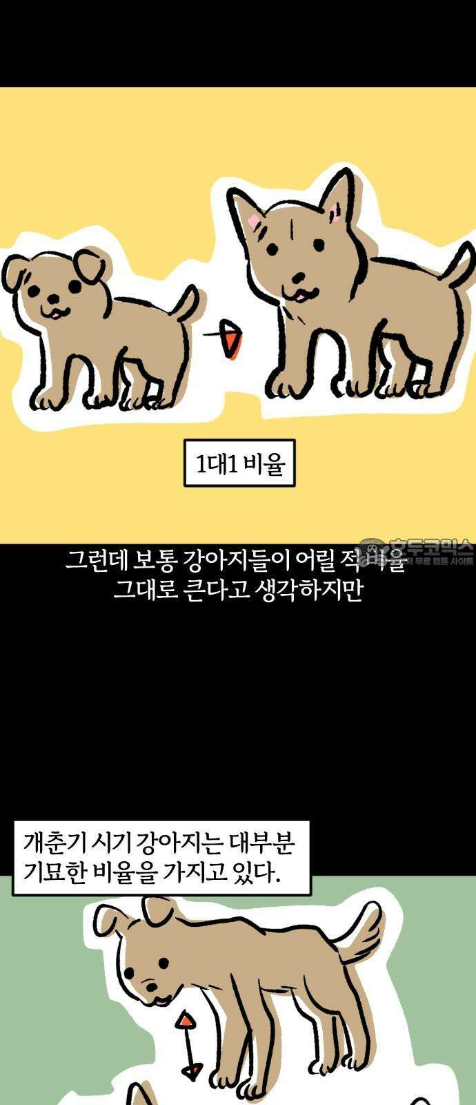 개집사 51화: 애완…하이에나? 12