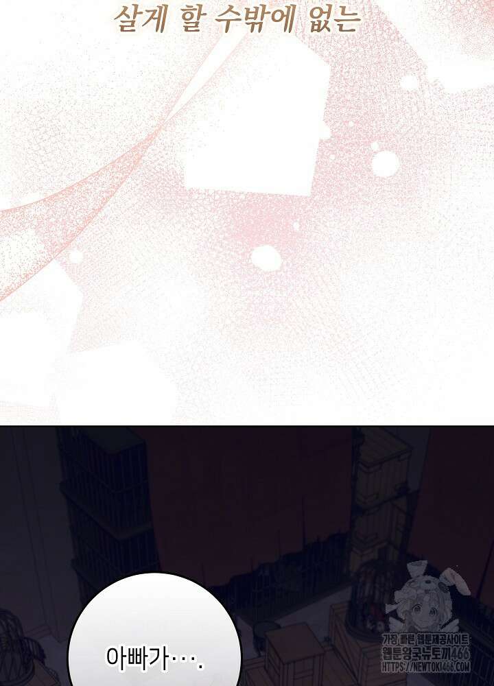 아빠가 힘을 숨김 31화 6