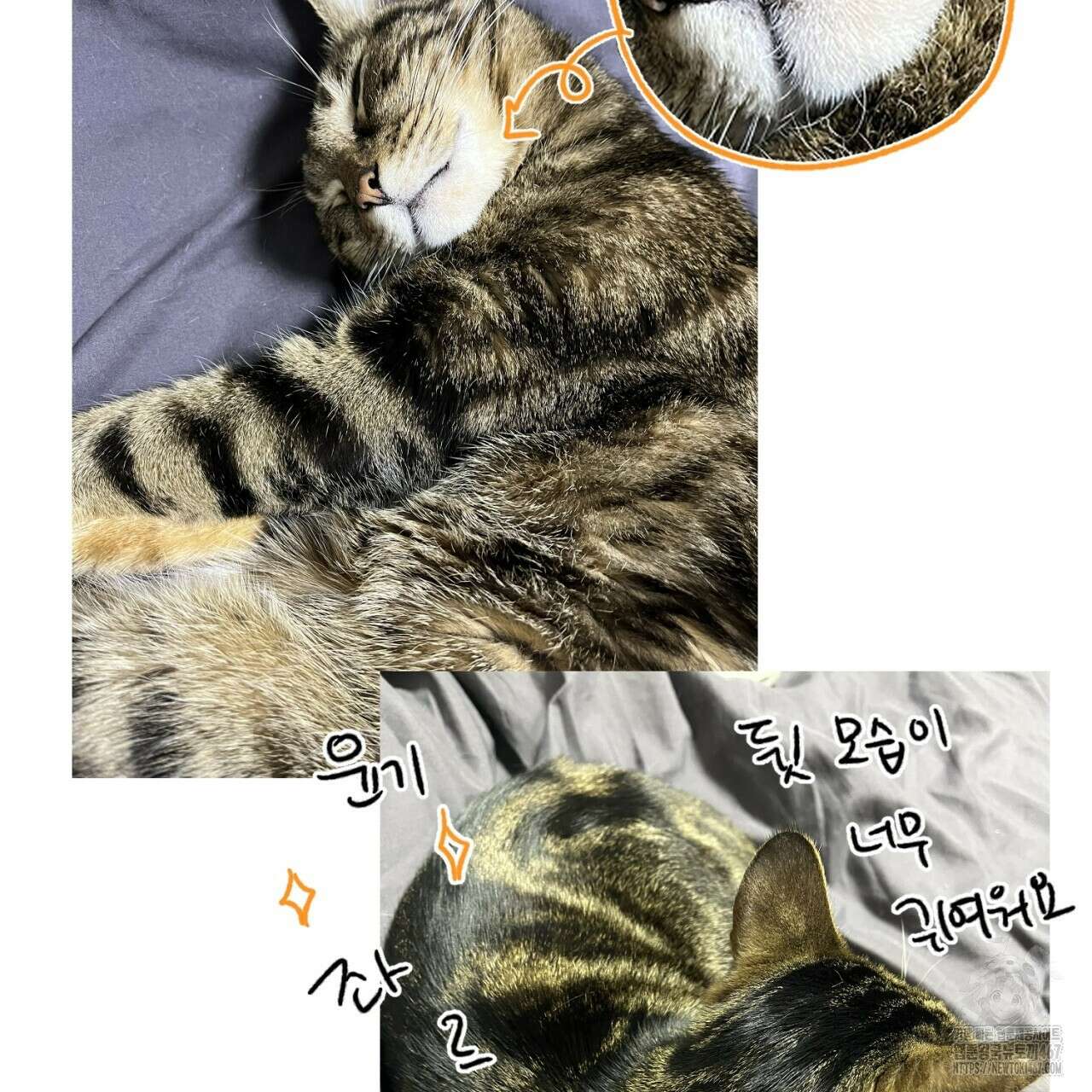 캐치업 1부 후기 45