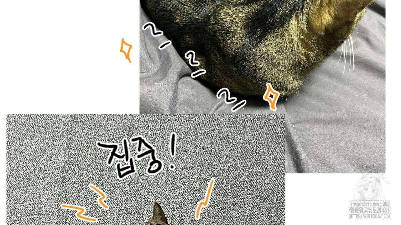 캐치업 1부 후기 46