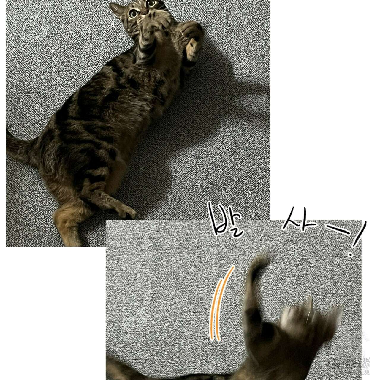 캐치업 1부 후기 47