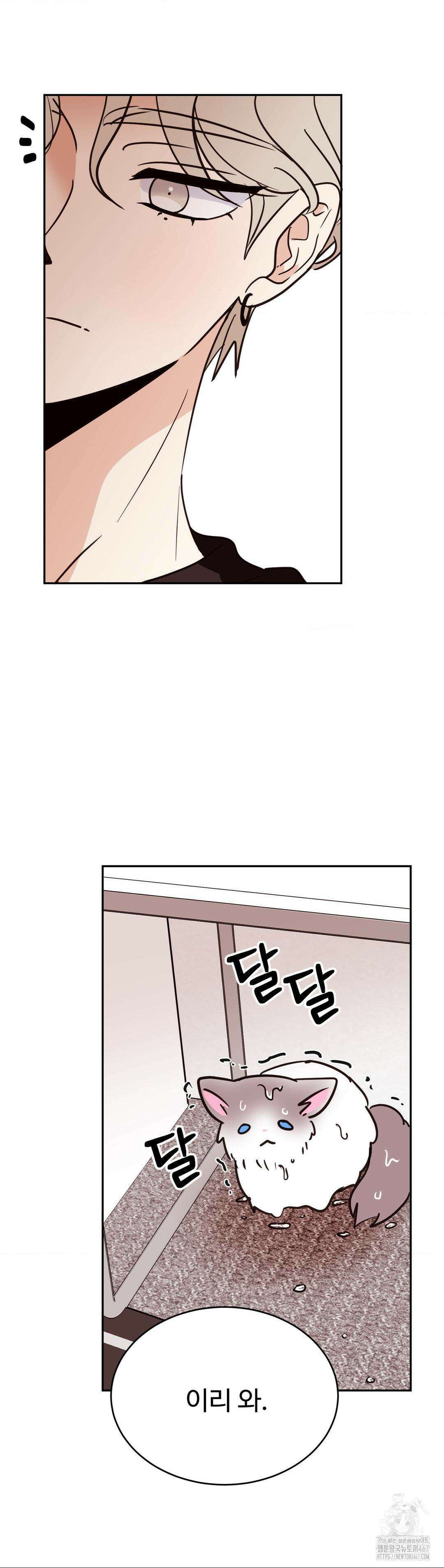 타의적 로맨스 20화 11
