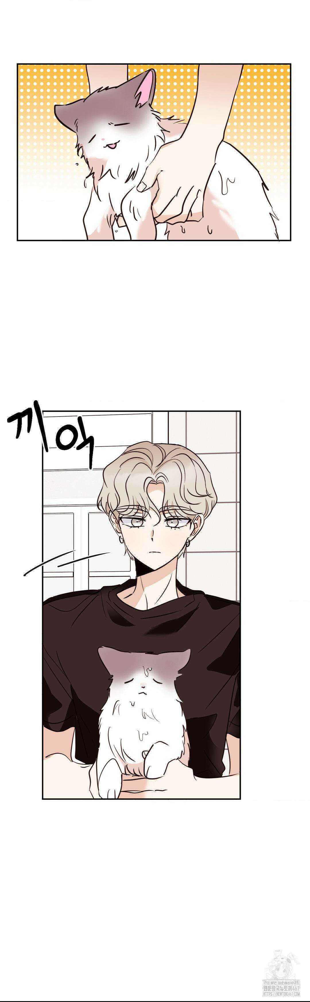 타의적 로맨스 20화 12