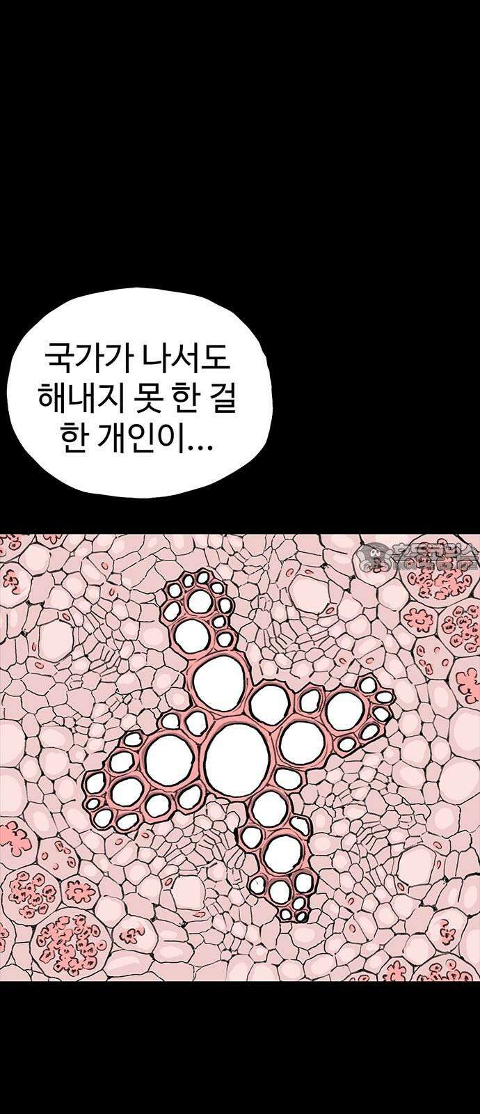 만수면 무강리 36화 60