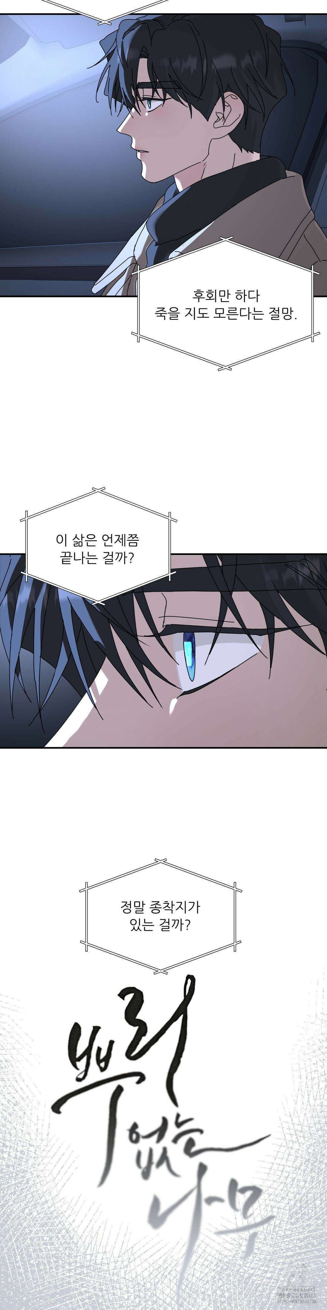 뿌리 없는 나무 79화 6