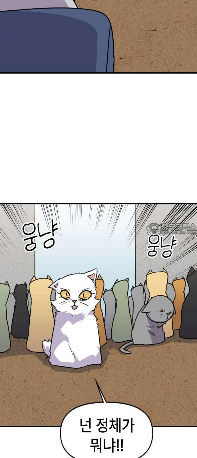 천재 곰먐미 김순자 28화 - 대모험 길냥이 시대! 15