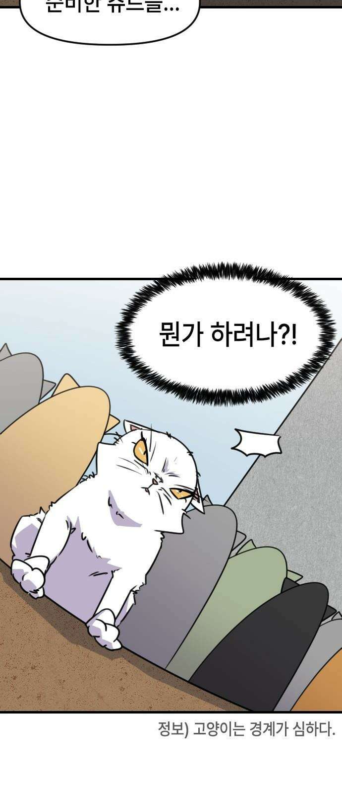 천재 곰먐미 김순자 28화 - 대모험 길냥이 시대! 20