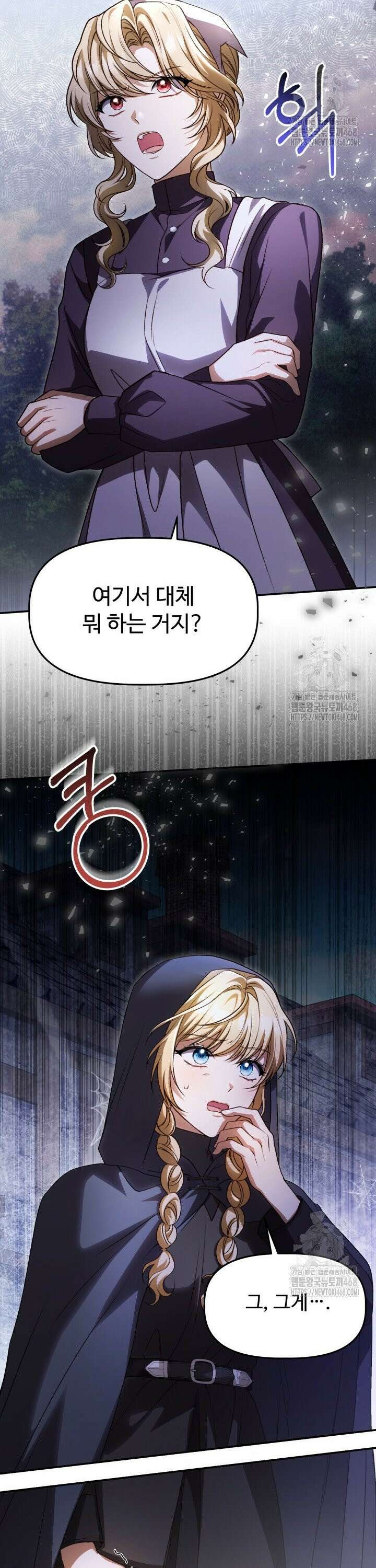 아젤다 : 정령사의 계약 결혼 33화 2