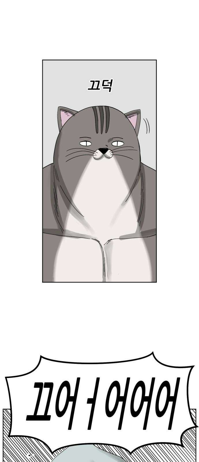 괴양이 80화 눈사람 10