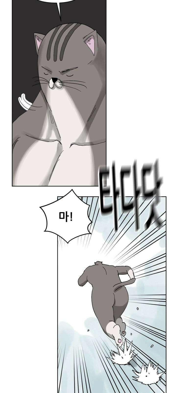 괴양이 80화 눈사람 20