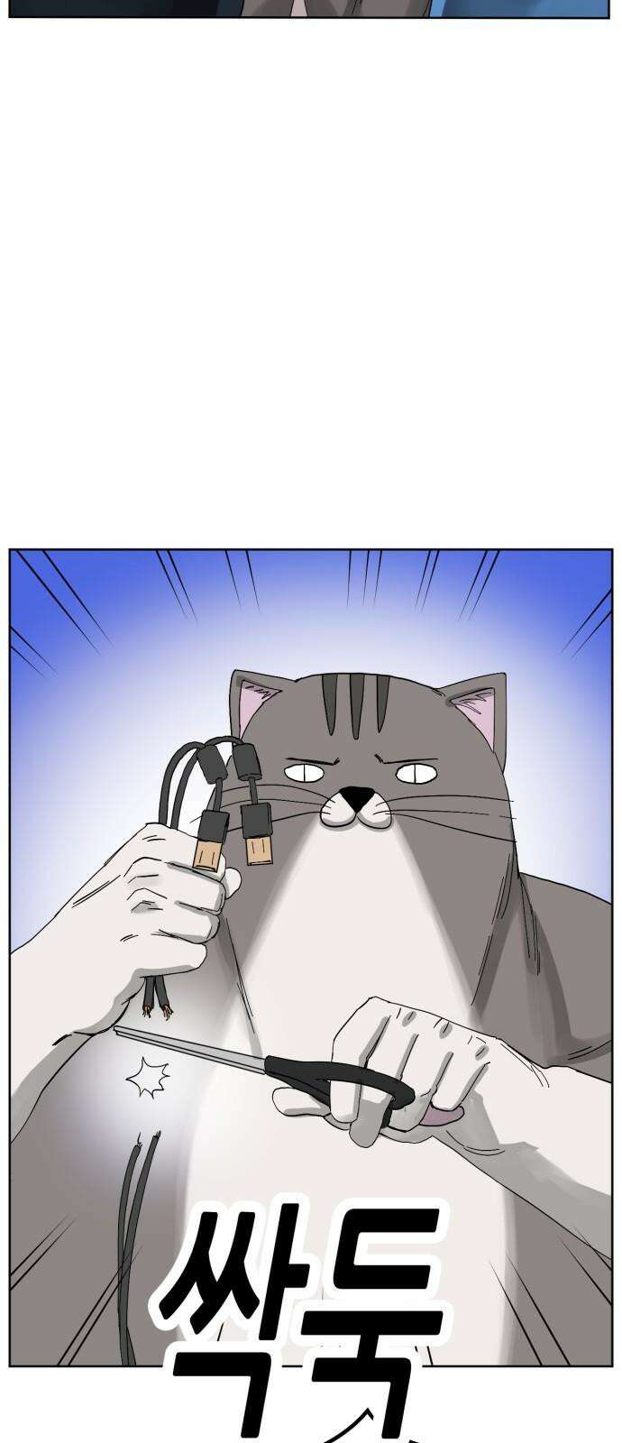 괴양이 80화 눈사람 29