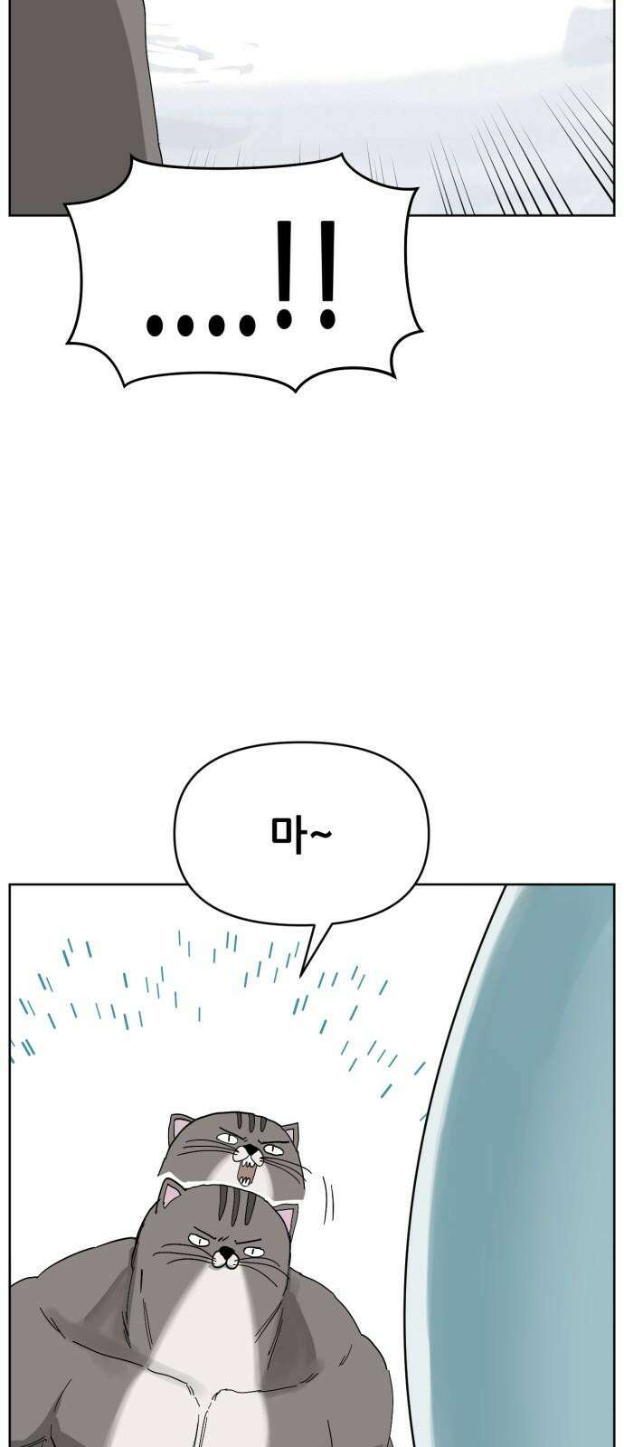 괴양이 80화 눈사람 38