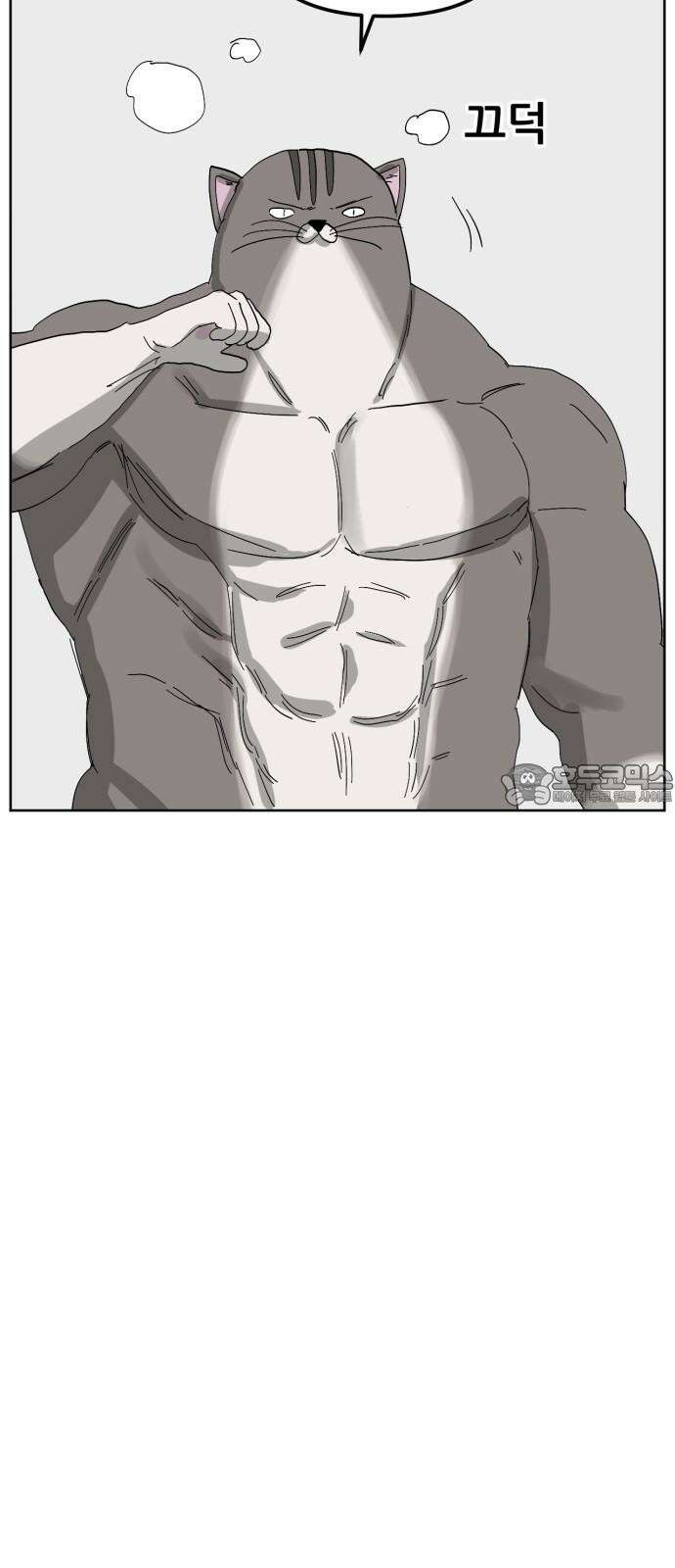 괴양이 80화 눈사람 45