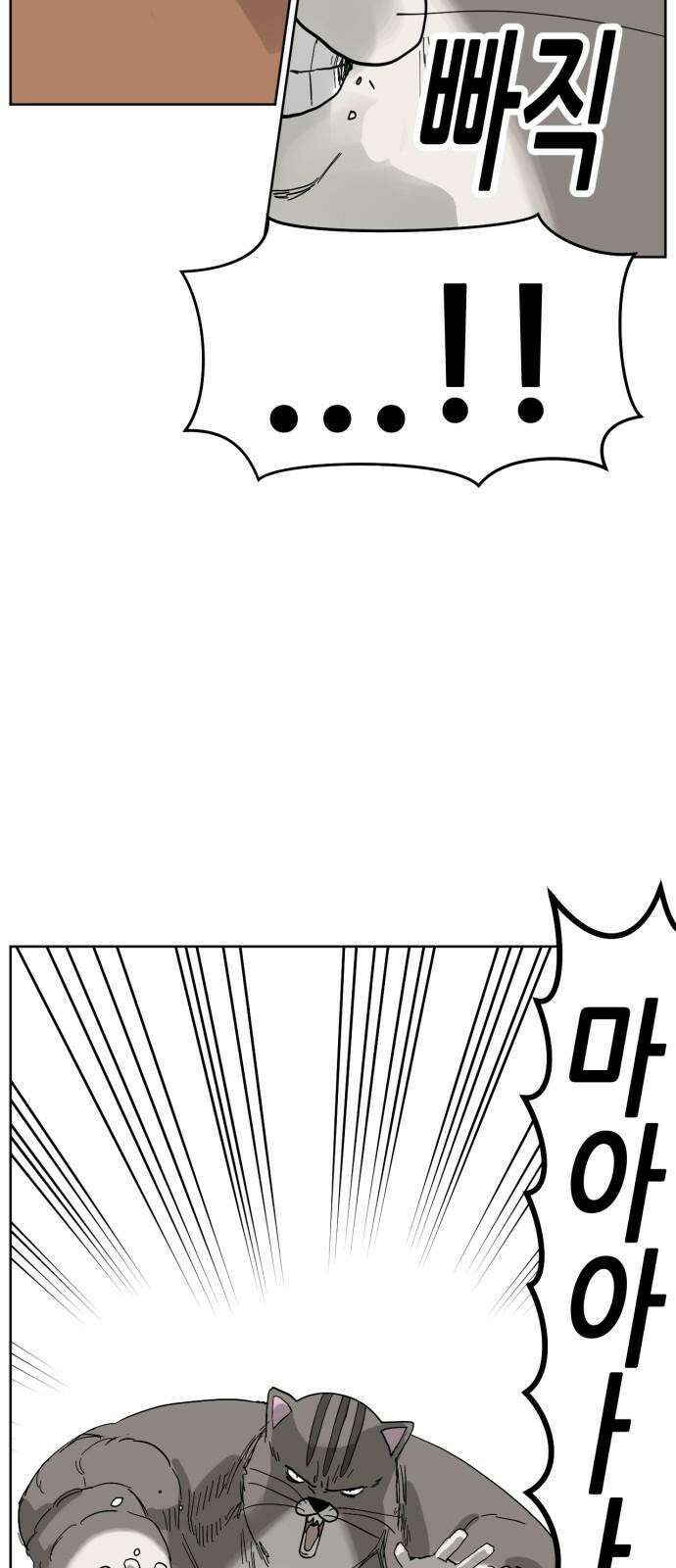 괴양이 80화 눈사람 55