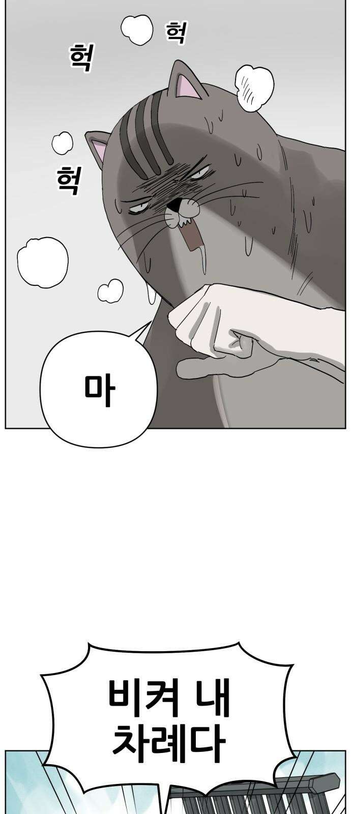 괴양이 80화 눈사람 59