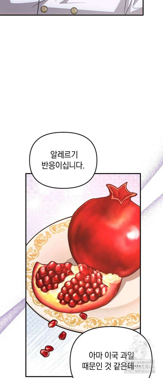 사라질 황녀를 위하여 10화 14