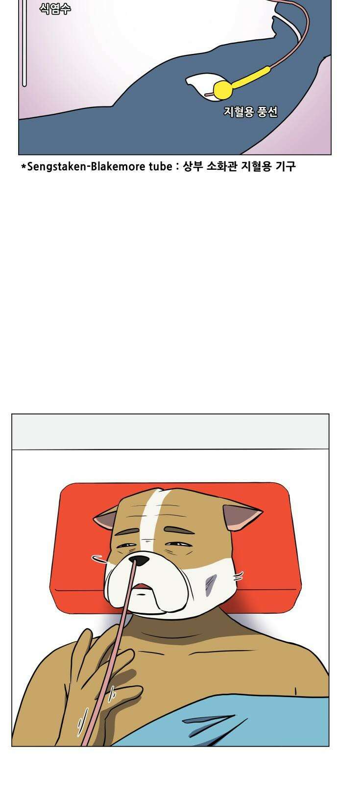 닥터앤닥터 병원일기 98화 판도라3 7