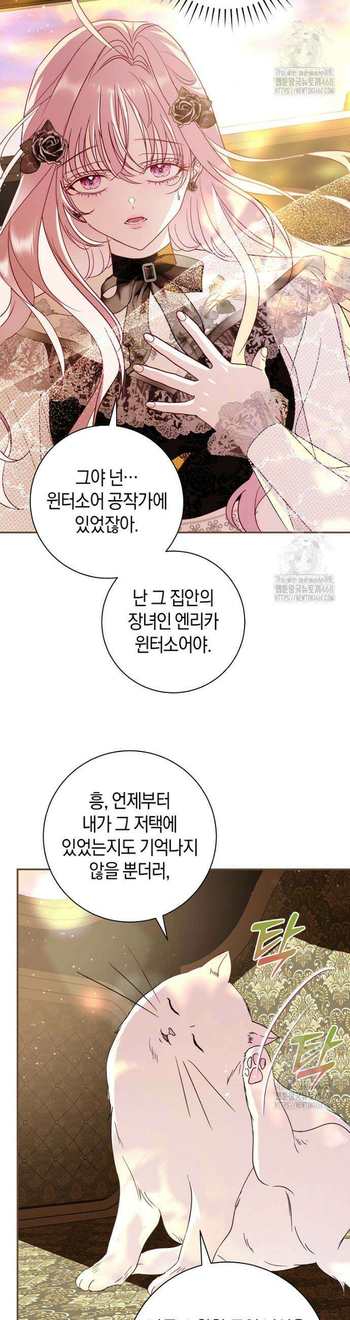 흑막님, 결혼 빼고 다 해드릴게요! 10화 4