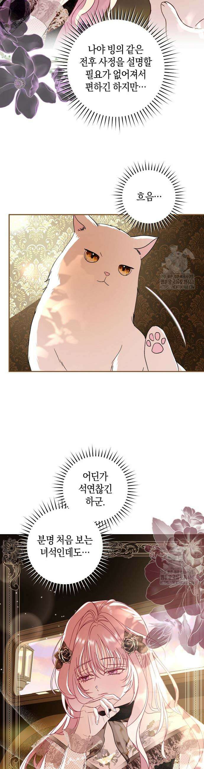 흑막님, 결혼 빼고 다 해드릴게요! 10화 6