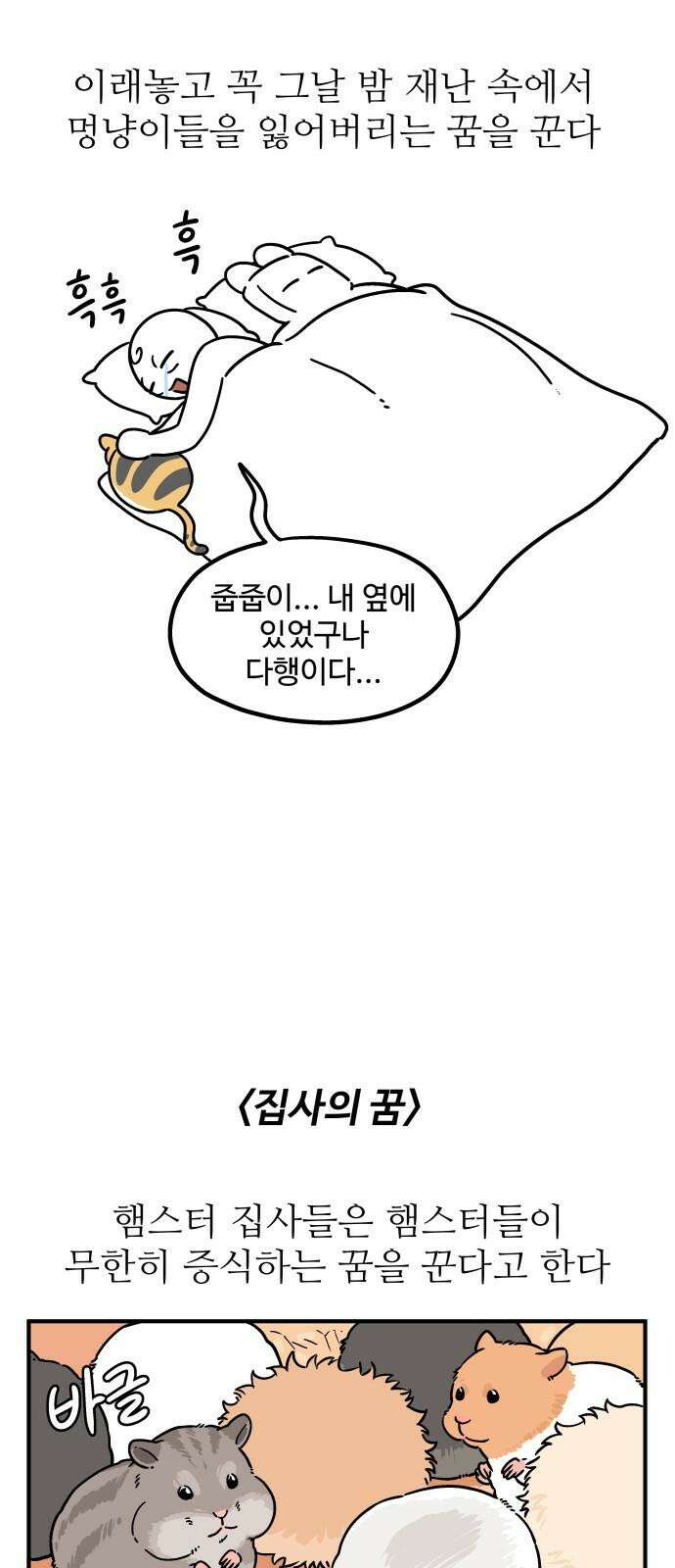노곤하개 쇼츠 재난 영화 8
