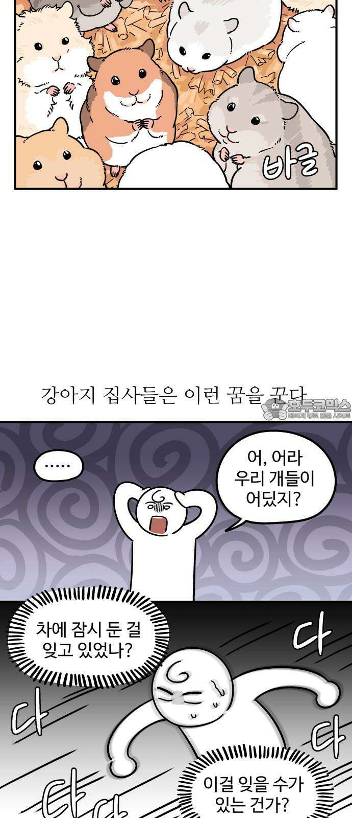 노곤하개 쇼츠 재난 영화 9
